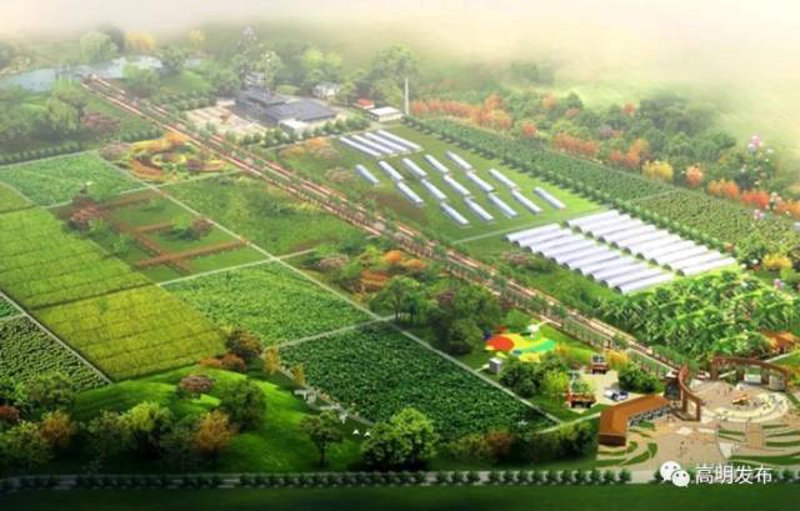 现代农业产业园：助力农业转型升级的新引擎