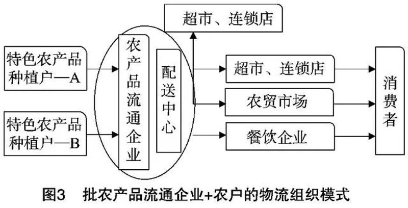 农业科技公司的创新活力：从土壤到餐桌的绿链